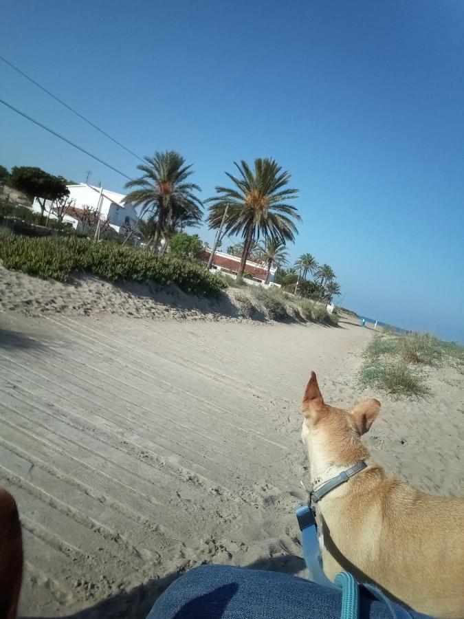 El Rincon De Denia - Paraiso Del Sol エクステリア 写真
